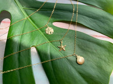 Load image into Gallery viewer, Moana Stack Sea Charm Gold Filled Necklaces