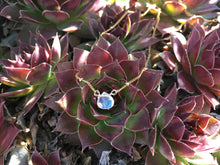 Load image into Gallery viewer, Dainty Moonstone Healing Crystal Gemstone Gold Filled Satellite Chain Necklace