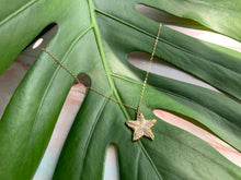 Load image into Gallery viewer, Mother of Pearl Starfish Pendant Necklace