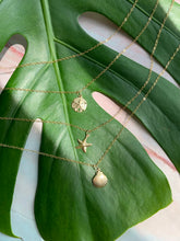 Load image into Gallery viewer, Moana Stack Sea Charm Gold Filled Necklaces