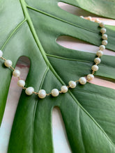 Load image into Gallery viewer, Freshwater Pearl Gold Plated Necklace